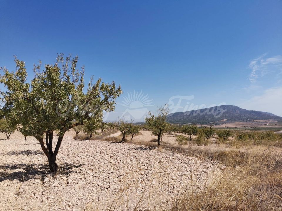 Helårsgrund i Raspay, Murcia - foto 2